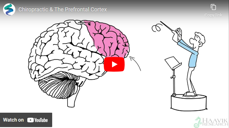 Chiropractic and The Prefrontal Cortex