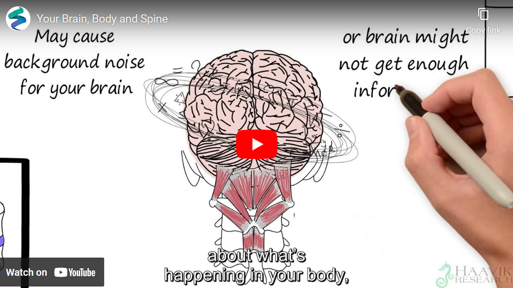 Your Brain, Body and Spine