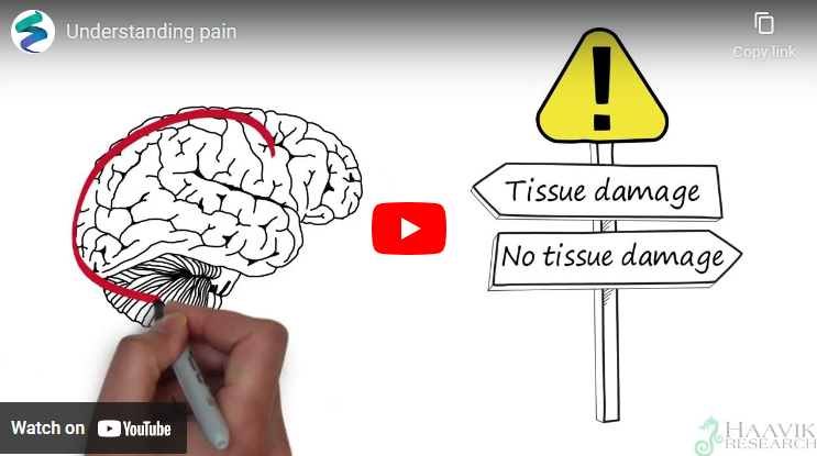 Understanding Pain